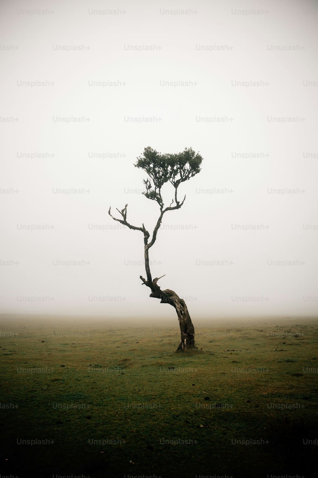 https://static.cfbond.com/files/web/online/caifuwang/images/2508/08/1922182003588058.png